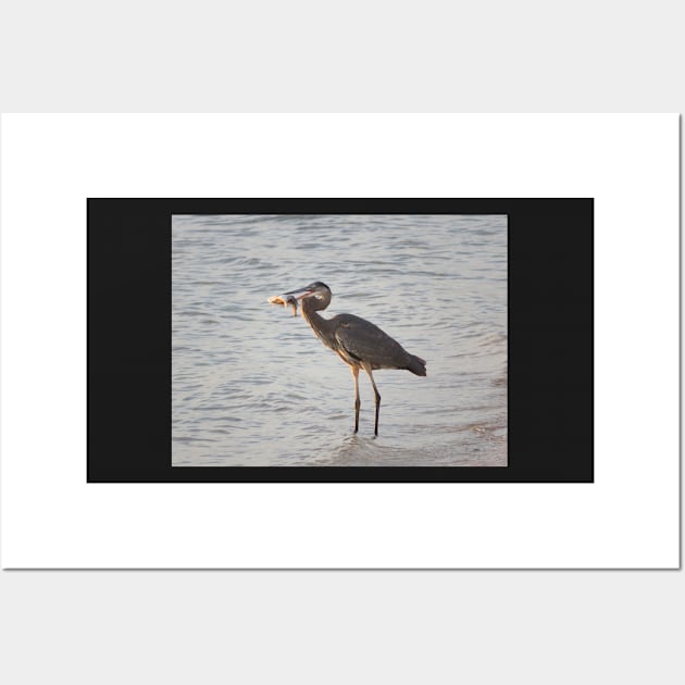 Dinner- Great Blue Heron Wall Art by ToniaDelozier